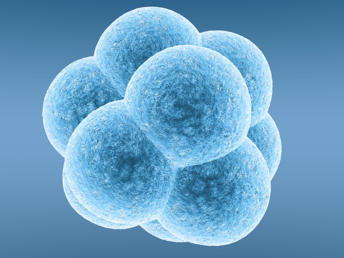 Serivce Image